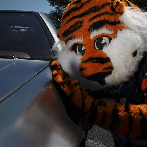 Aubie Goes Back to the Future